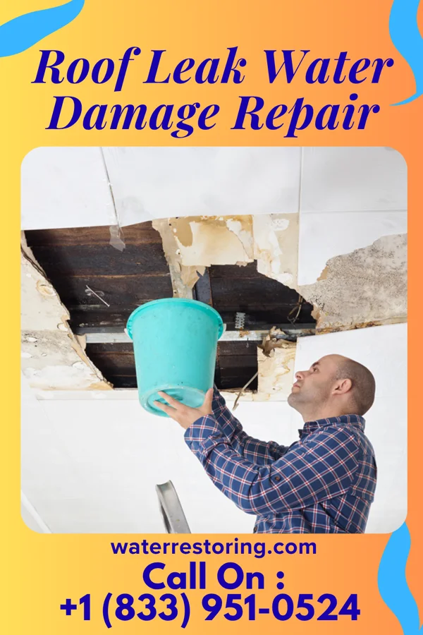 Roof Leak Water Damage Repair in Snyderville, UT